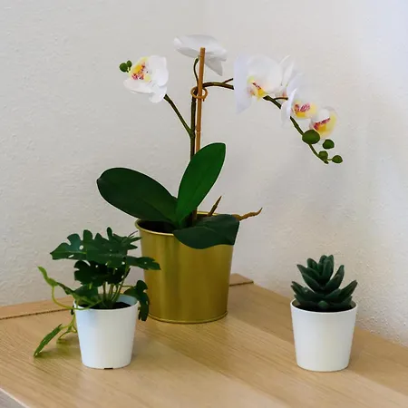 בית נופש Casa Do Beco - Fabulous 3 Bedroom House With An Office, Seia, Serra Da Estrela